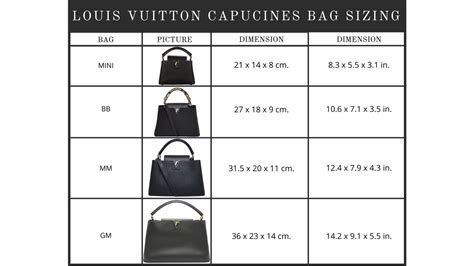 louis vuitton capucines sizes|louis vuitton bag size chart.